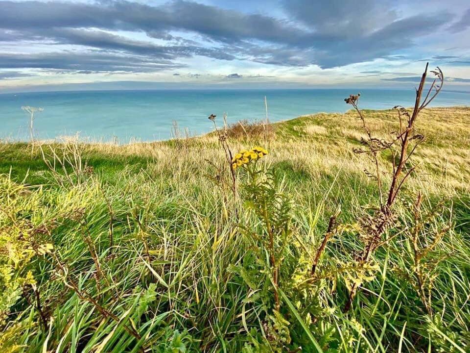 Plage A 50M Appartement Reves Etoiles Villa Les Bains De Mers Zewnętrze zdjęcie