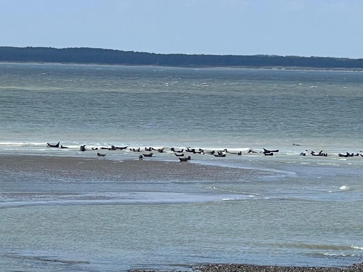 Plage A 50M Appartement Reves Etoiles Villa Les Bains De Mers Zewnętrze zdjęcie